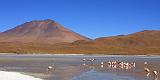 BOLIVIA 2 - Ruta de Las Joyas - Laguna Hedionda - Fenicotteri Rosa - 3